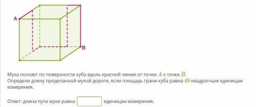 Муха ползает по поверхности куба вдоль красной линии от точки A к точке B. Определи длину проделанно