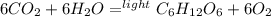 6CO_2+6H_2O=^{light}C_6H_{12}O_6+6O_2