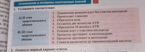 1. Установите соответствие: 1. Химические реакции идут без участия кислорода A) I этап 2. Происходит