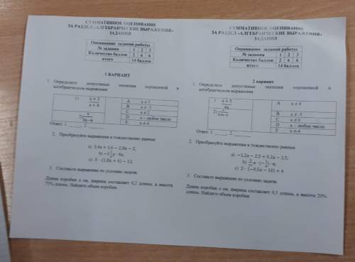 Сор матем 6 кл 1 и 2 варианты решите