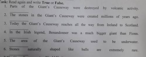 Task:Read again and write True or false.