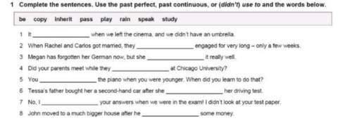 Complete the sentences. use the past perfect past continuous or (didn't) use to and the words below.