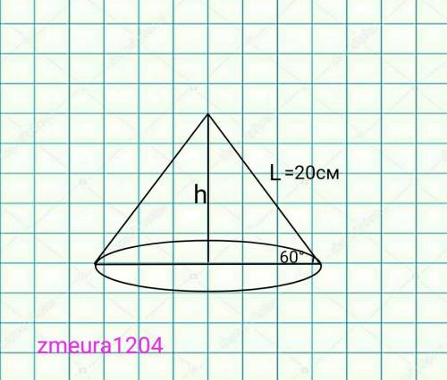 Твирна конуса дорив 20 см и утворюэ з площиною 60° знайдить висоту конуса