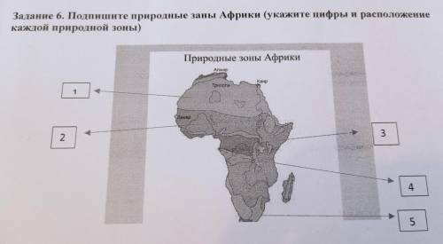 Подпишите природные зоны Африки (укажите цифры и расположение каждой природной зоны)