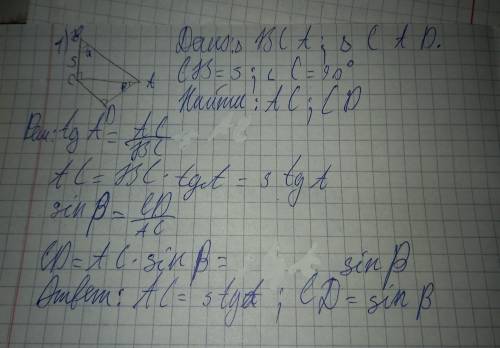 1. Используя рисунок, выразите отрезки AC и CD. B a 5 CE А ß D