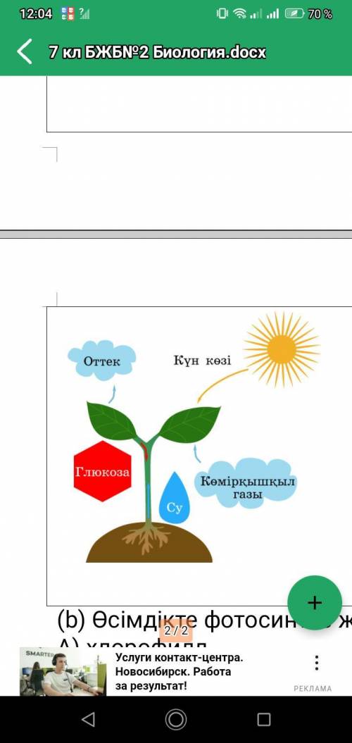 Объясните явление фотосинтеза с рисунка, используя схему