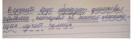 Спишите текст, вставляя пропущенные буквы и знаки препинания: (I) В шес..надцатом век.. по..вилась н