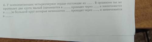 У млекопитающих четырехкамерное сердце состоящие из…в организме