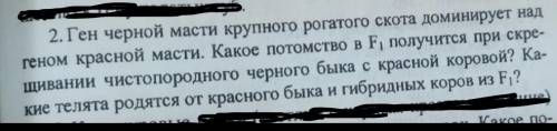 Ген черной масти у крупно рогатого скота доминирует над геном красной масти. Какое потомство в F1 по