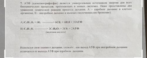 А) C6H 120, + 602 > 6СО2 + 6H 0 + 38АТФ B) C6H120, 2С3Н60 + 2CO3 + 2АТФ (молочная кислота) Исполь