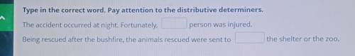 Type in the correct word. Pay attention to the distributive determiners.