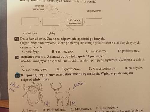 13. Dokończ. Zaznacz odpowiedź sposób podanych. Organizmy cudzożywne, które pobierają substancje pok