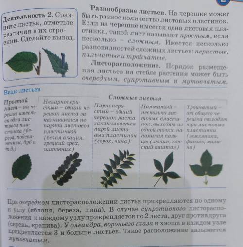 Используя термины из текста учебника, завершите схемы: