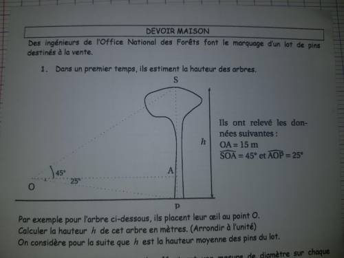 Найти h. OA= 15m Угол SOA=45° Угол AOP=25° Распишите поподробнее и 5 звёзд обеспечено