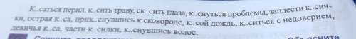 Вспомните, как называются корни, которые одинаково пишутся, но не от разные значения. Определите, ка