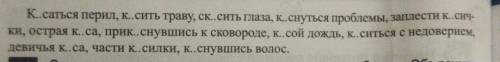 вспомните Как называются корни которые одинаково пишутся но имеют разное значение Определите какие и