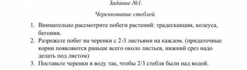 Сделать лабороторную, написать ответы и вывод