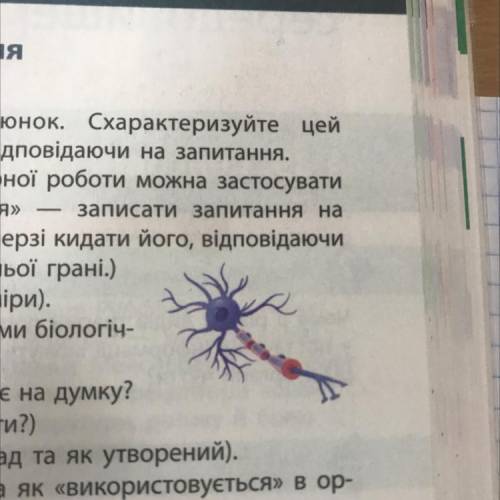 8 Розгляньте малюнок. Схарактеризуйте цей біологічний об'єкт, відповідаючи на запитання. (Для групов