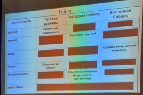 Заполнить таблицу по географии Тайга