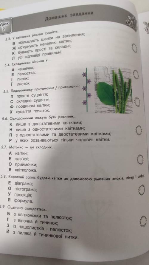 РЕБЯТ СДЕЛАТЬ БІОЛОГІЯ 6 КЛАС ІНТЕЛЕКТ УКРАЇНИ ЧАСТИНА 5 СТ.-9,10