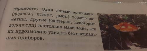 191A. Прочитайте текст. Организмы, населяющие Землю, чрезвычайно разнообразных растения, грибы, живо