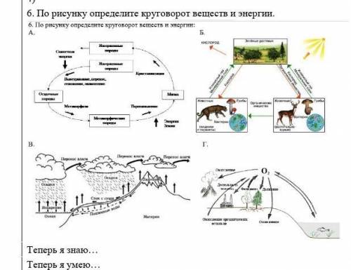 6. По рисутку огурелетите круговорот веществ и энергии Теперь и ако... Теперь умею..