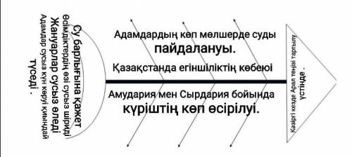 6. Арал қасіретін «Фишбоун» әдісімен жазыңдар. Бес сөйлемнің тұрлаулы, тұрлаусыз мүшелерін табыңдар.