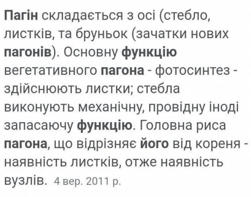 Як будова пагона пов'язана з його функціями