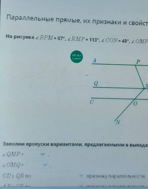 На рисунке BPM = 67°, RMP = 113°, CON = 49°, 0MP= 116°.