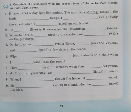 Complete the sentences with the correct form of the verbs: Past Simple or Past Continuous.