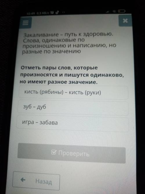 Отметь пары слов, которые произносятся и пишутся одинаково, но имеют разное значения