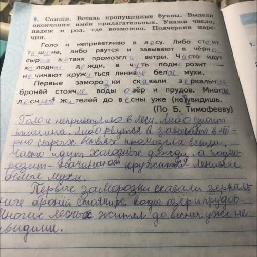 9. Спиши. Вставь пропущенные буквы. Выдели окончания имён прилагательных. Укажи число, падеж и род,
