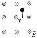 Указать направление силы Лоренца, действующей на частицу, движущуюся в магнитном поле.
