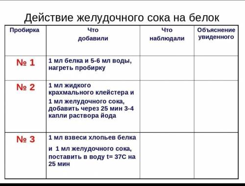 Действие желудочного сока на белок