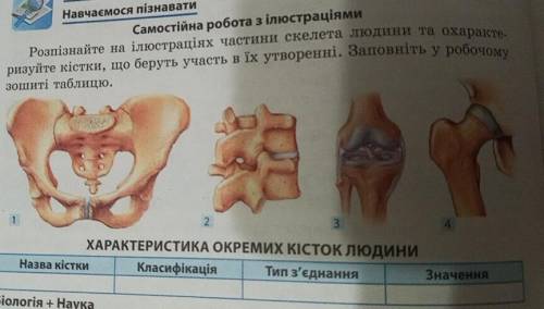 Характеристика окремих кісток людини