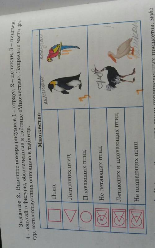 ВЫПОЛНИТЕ ЗАДАНИЕ??? ДОПЬЮ