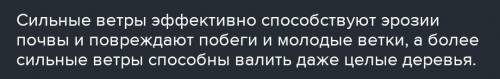 Какой вред приносит почве ветер?