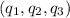 (q_{1},q_{2},q_{3})