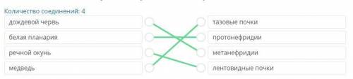 Выделительная система животных. Сравнение строения выделительных систем животных Установи соответств