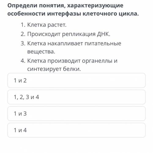 Определи понятия, характеризующие особенности интерфазы клеточного цикла.