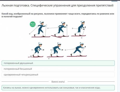 какой ход изображён на рисунке лыжники применяют чаще всего передвигается по уравнению или в пологий