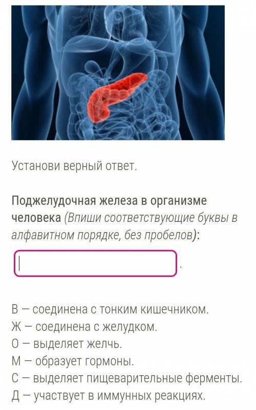 Здравствуйте решить задание