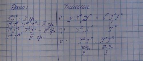 Айбек и Анара молодожены, у Айбека первая группа крови, у Анары 2 гетерезиготная, родятся ли дети с