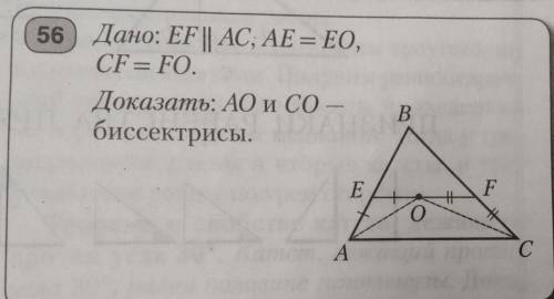 Дано: EF || AC, AE = EO, CF = FО. Доказать: АО и СО — биссектрисы.