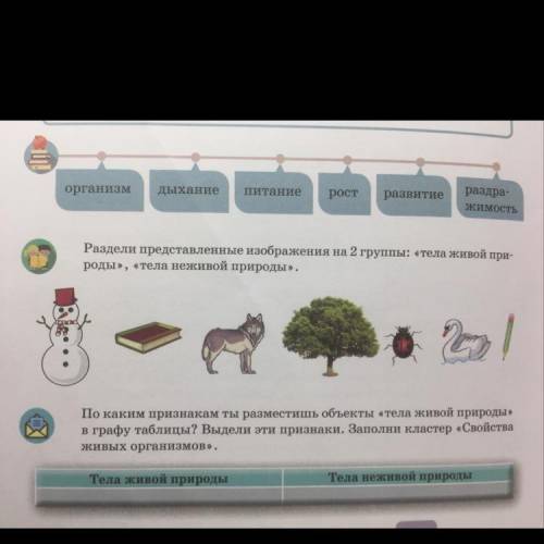 Раздели представленные изображения на 2 группы: «тела живой природы», «тела неживой природы»