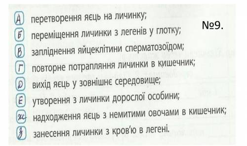 Визначте послідовність етапів життєвого циклу аскариди людської, записавши правильний порядок за до