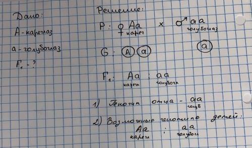 Кареглазая гетерозиготная женщина вышла замуж за голубоглазого мужчину. Определите генотипы отца и в