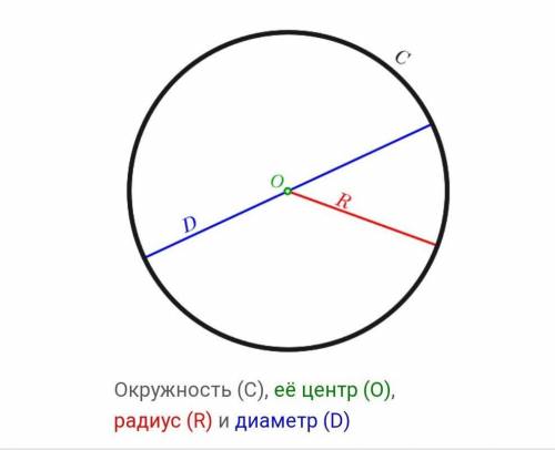 Окружность является линией.