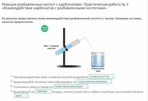 Реакции разбавленных кислот с карбонатами. Практическая работа № 3 «Взаимодействие карбонатов с разб