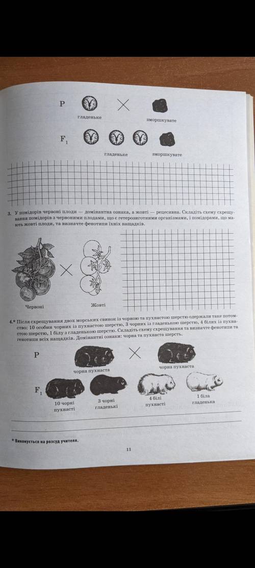 Биология, третья самостоятельная .